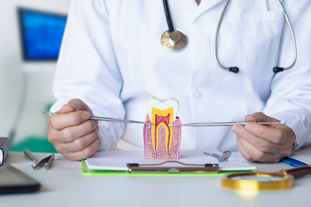 Best Emergency Gum Treatment in Evansville, WI